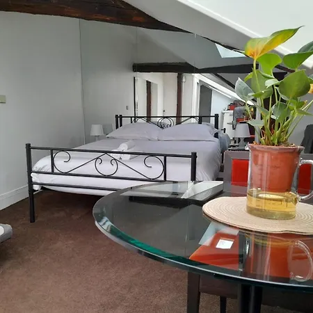 Le Singulier : Au Coeur De Apartamento